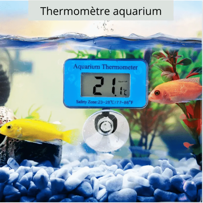 Aquarium LCD Thermometer​
