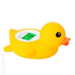 Pool Thermometer Ente​