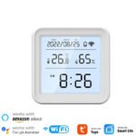 Smart Thermometer Google Home​