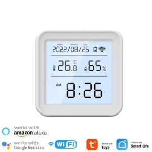 Smart Thermometer Google Home​