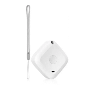 Bluetooth Thermometer Außen​