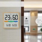 Thermometer Wand